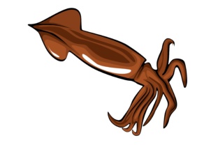Exploring the Deep: Creative Uses for Squid Illustrations