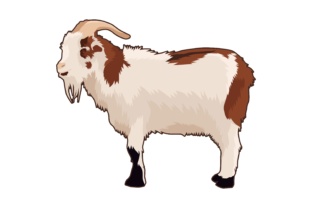 Goat Illustrations: Captivating Animal Art for Modern Design