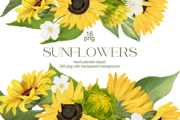 Sunflower Illustrations: Elevate Your Creative Projects