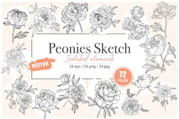 The Enduring Appeal of Peonies Sketch Vector Illustrations