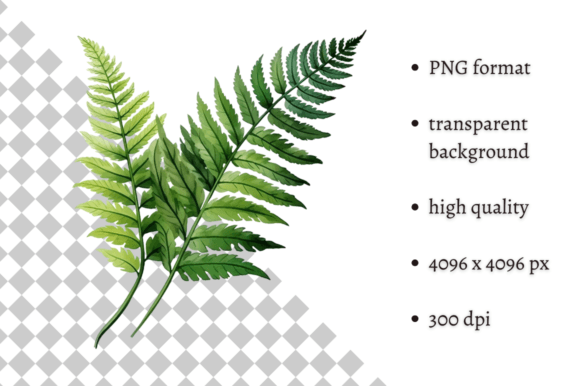 Watercolor Woodland Fern PNG Clipart: A Breath of Fresh Air for Your Designs